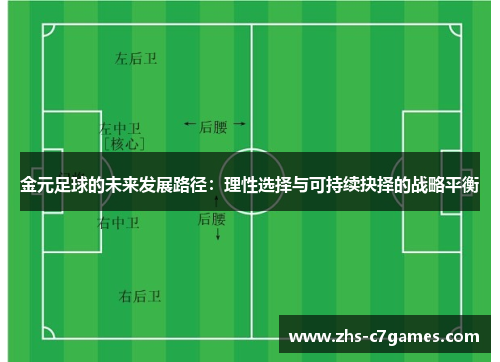 金元足球的未来发展路径：理性选择与可持续抉择的战略平衡