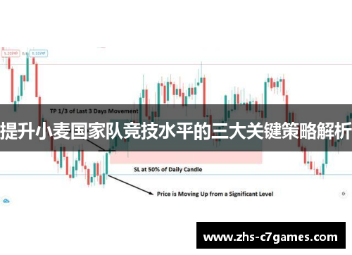 提升小麦国家队竞技水平的三大关键策略解析