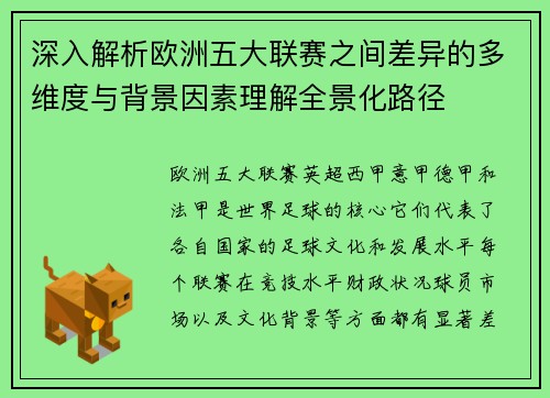 深入解析欧洲五大联赛之间差异的多维度与背景因素理解全景化路径 深入解析欧洲五大联赛之间差异的多维度与背景因素理解全景化路径